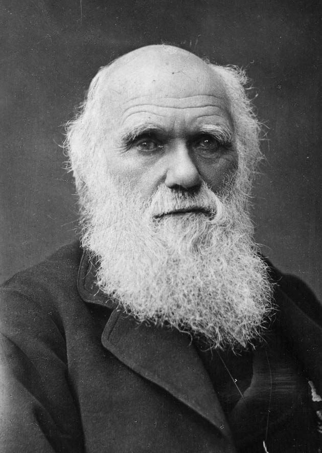 The portrait of Charles Darwin