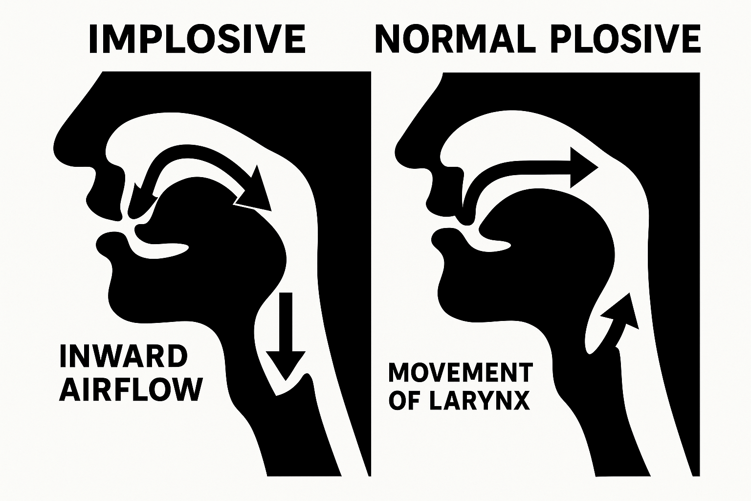 The Inward Breath: The World of Implosive Sounds