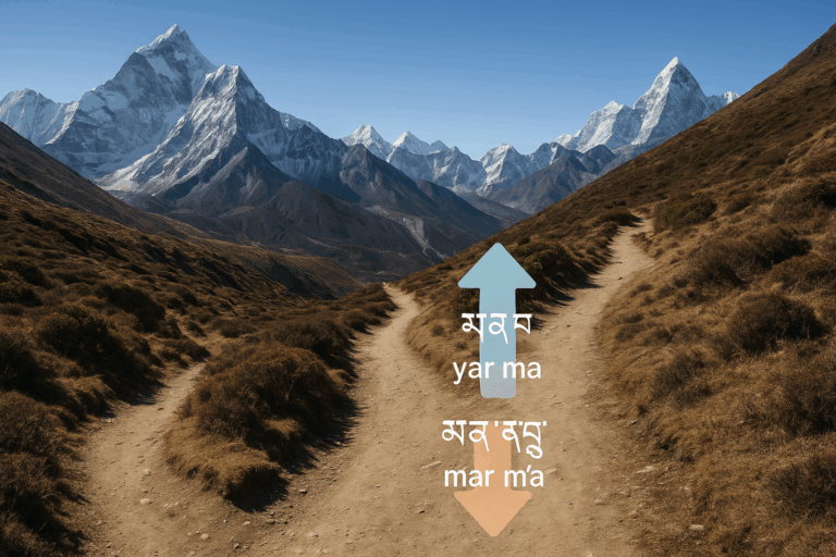 The Uphill Verb: Grammar of the Himalayas