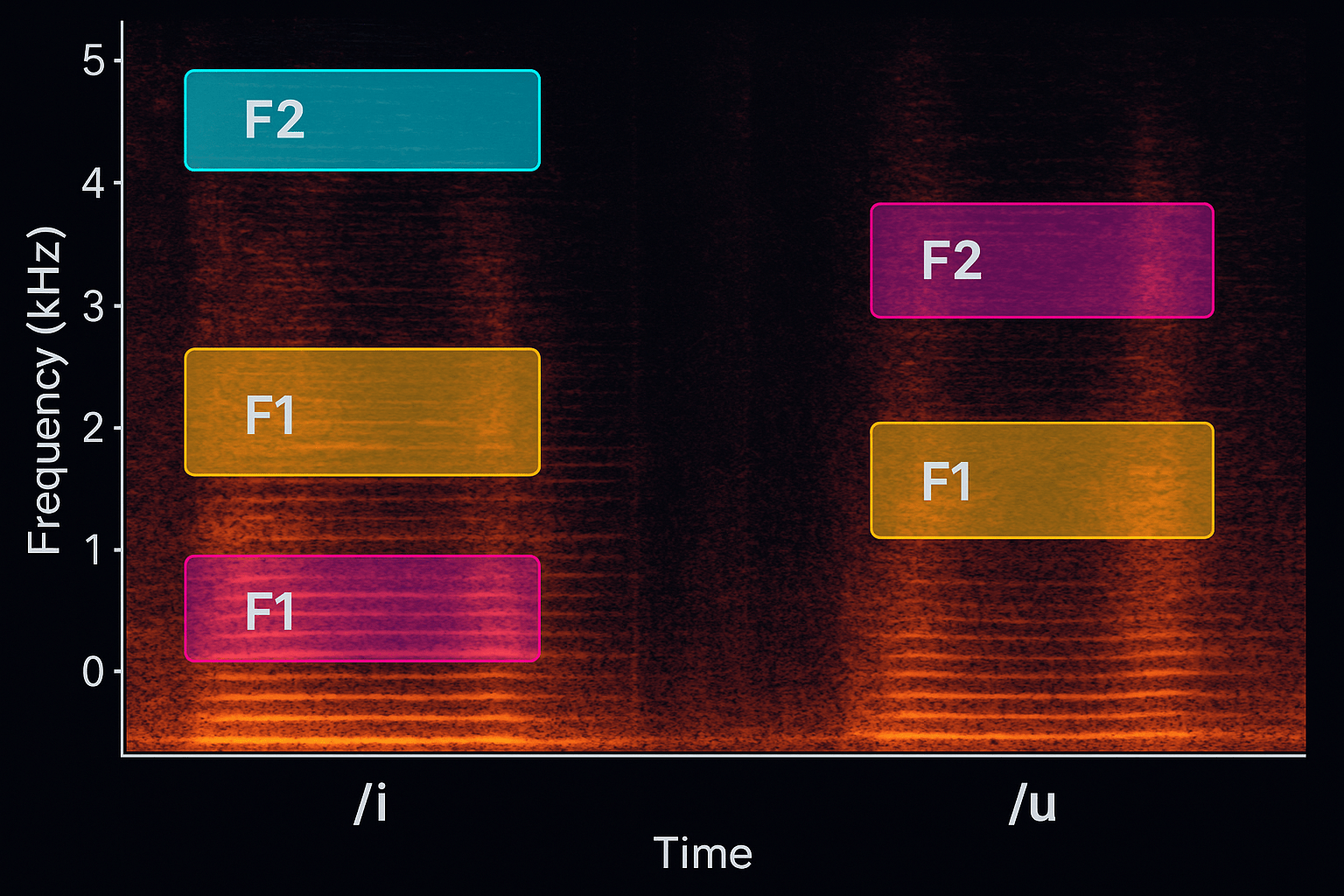 The Sound of a Vowel: What Are Formants?
