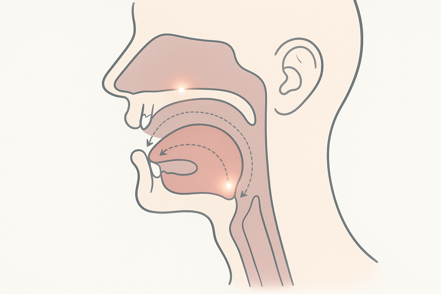 Tongue Gymnastics: Training Your Mouth for New Sounds